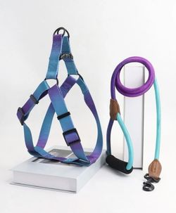Dog Leash, Harness and Pet Seat Belt set