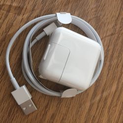 Apple iPad mini charger and lightning cable