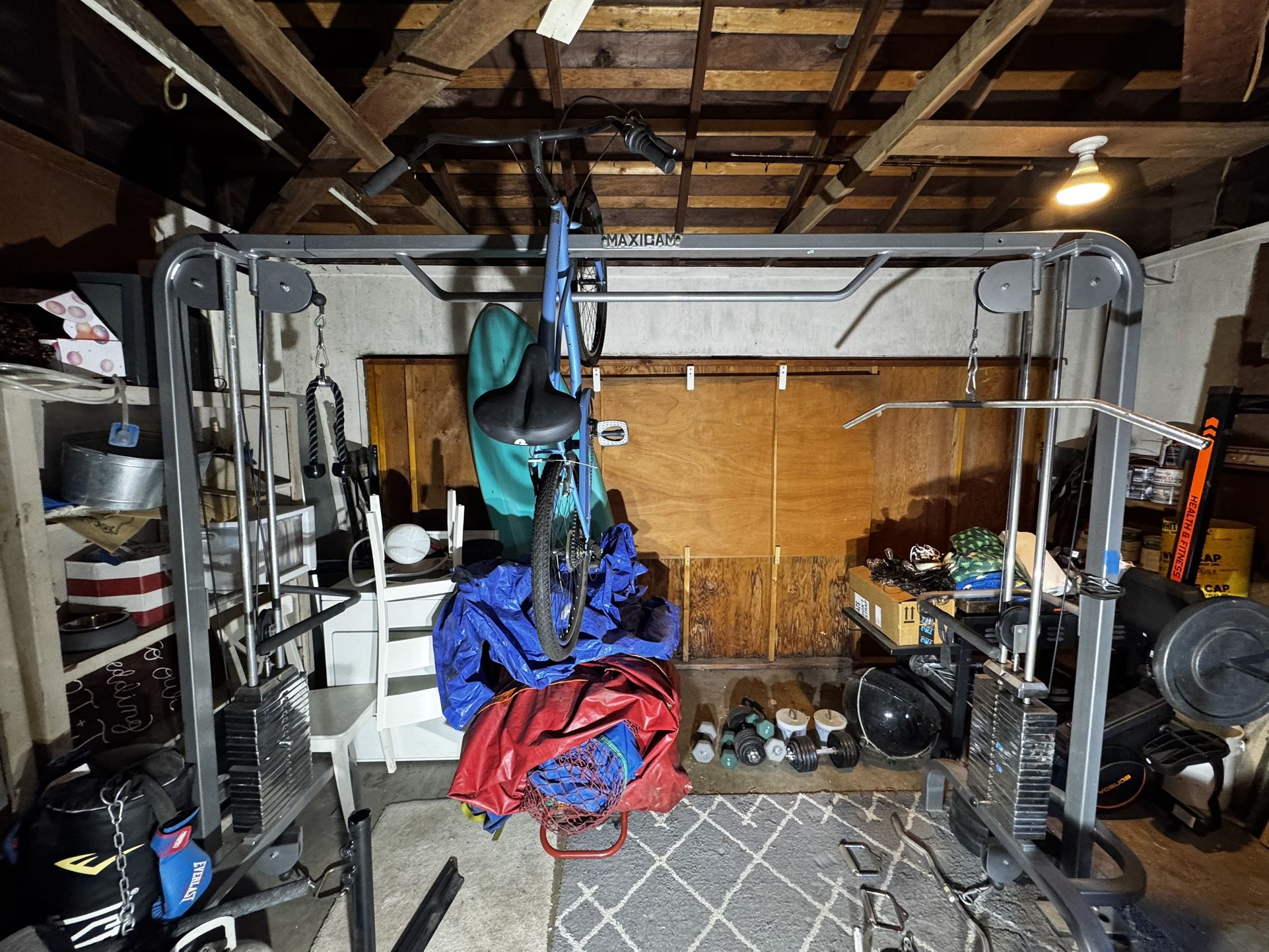 MAXICAM Weight Set