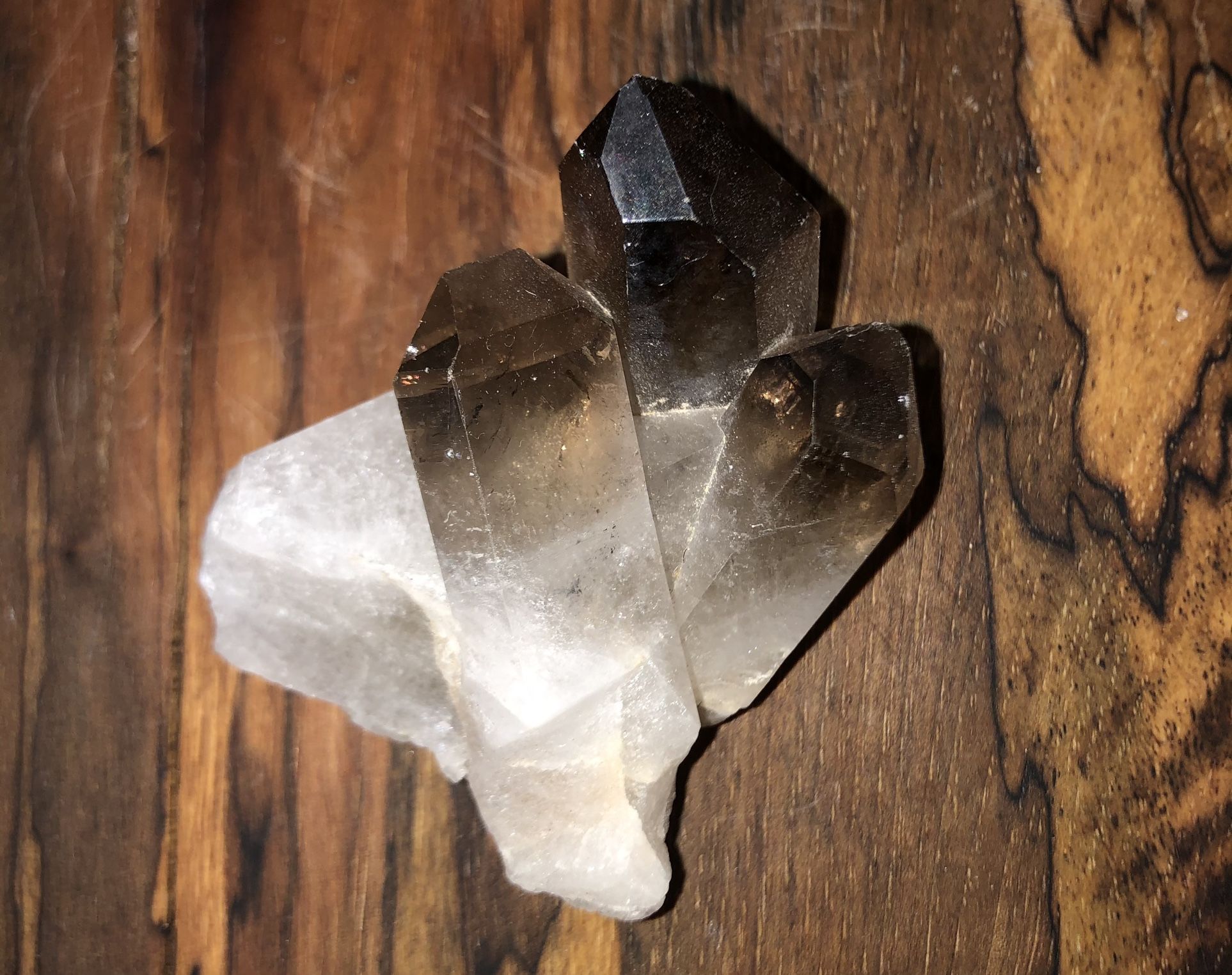 Smoky Quartz Crystal Cluster ~Protects & Grounds~