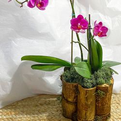 Natural Real Bamboo Planter Pot