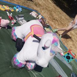 Unicorn With Wheels Can't Find Battery Or Charger