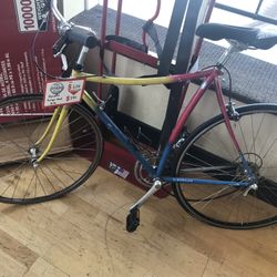 Pinarello Pro logo Road Bike