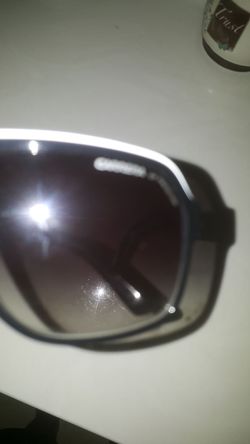Carrera Sunglasses