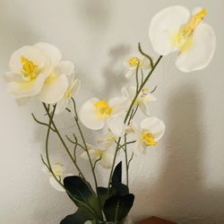 Decorative Vase With Flowers 💐 