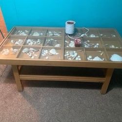 seashell table 