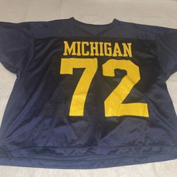 Champion Michigan Wolverines Jersey Mens Large USA Clean Blue Vintage 90s #72