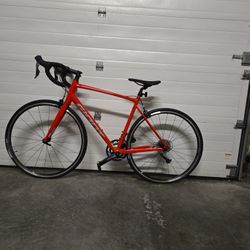 Giant Riding Bike! 