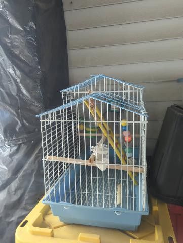 Bird Cage