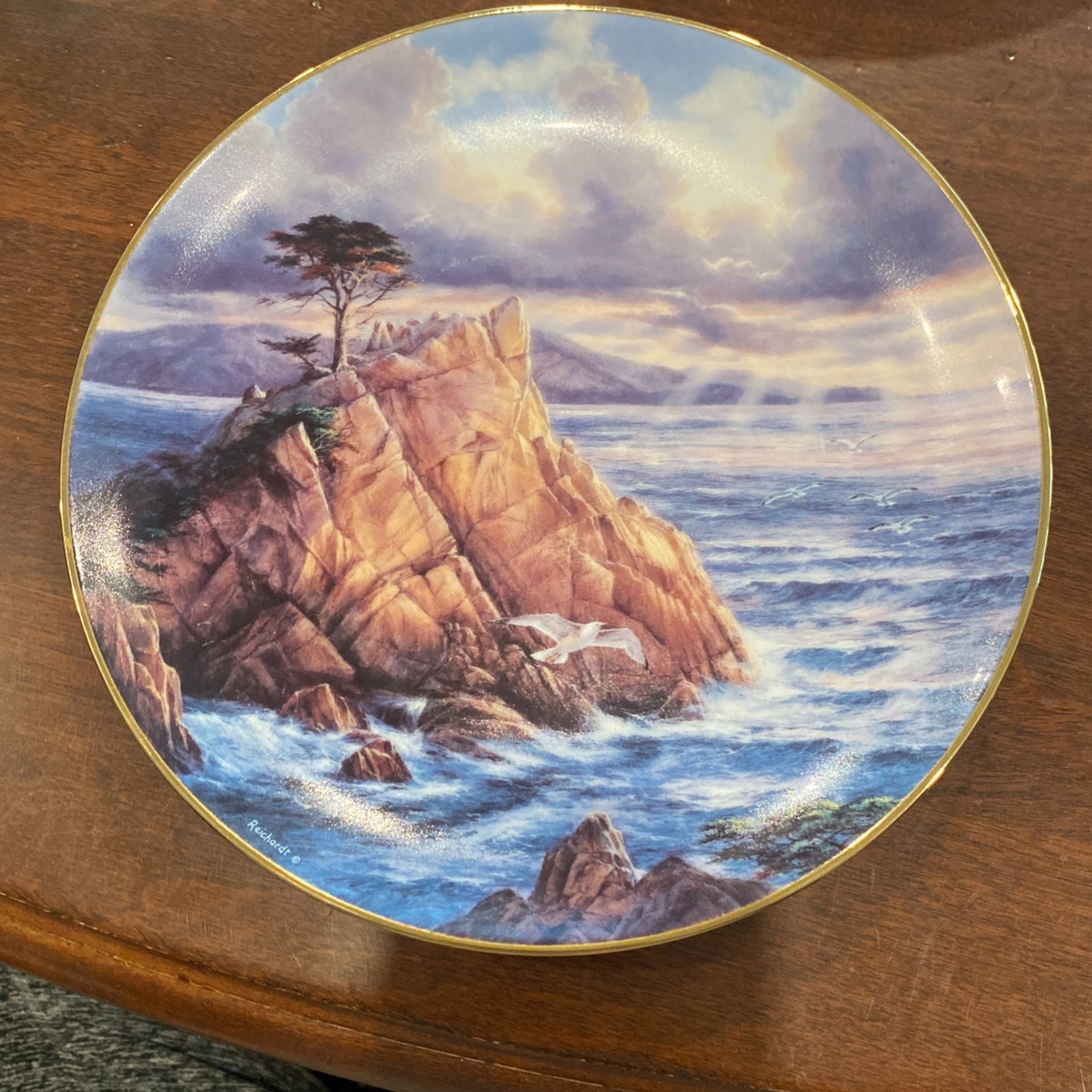 Collector Plate 