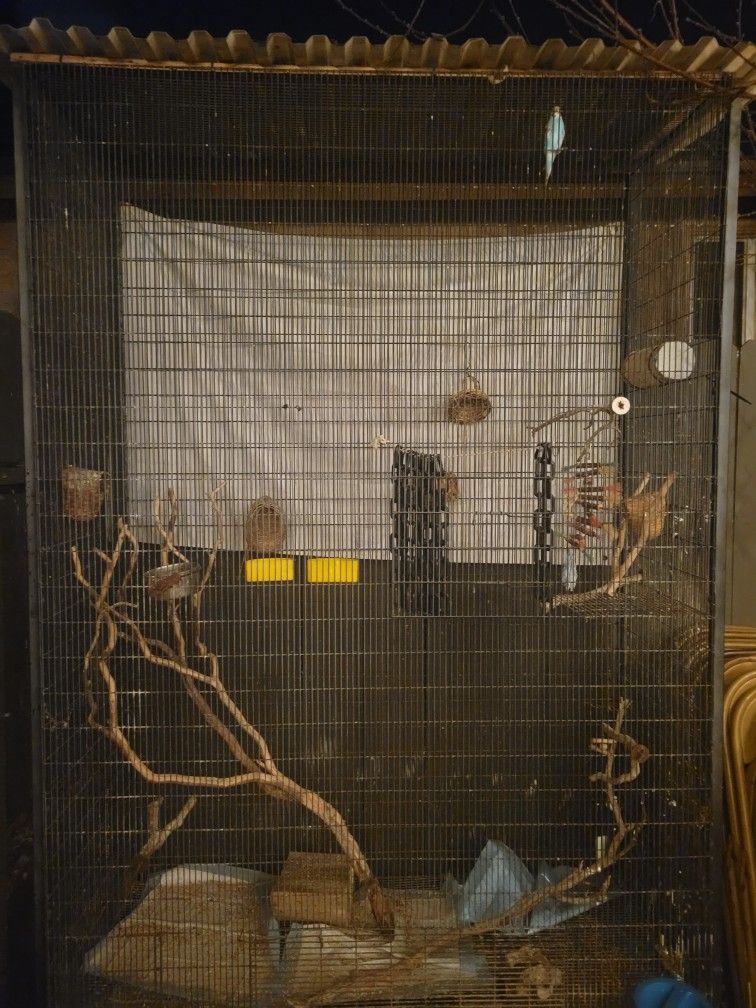 Xl Bird Cage