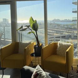 Yellow IKEA Arm Chairs 