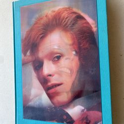 The Rise Of David Bowie Picture Book 
