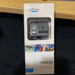 GoPro Hero + LCD Screen 