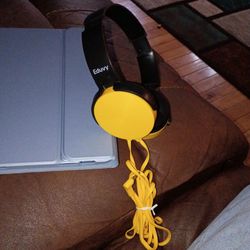 Eduvy Studio Headphones 