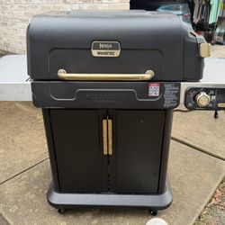 Ninja FlexFlame Outdoor Cooking System/grill