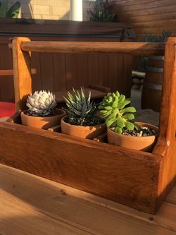 Succulent 3 pack in Farmhouse Planter!