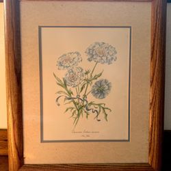 Framed Botanical Print – Vintage Floral Illustration