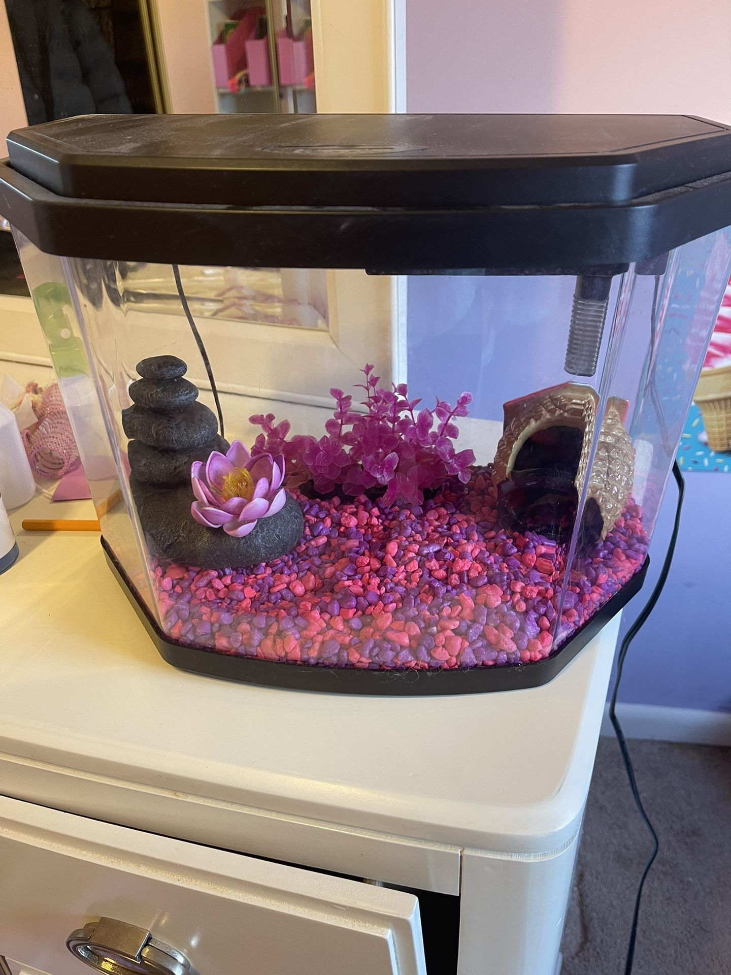 Fish Tank Brand New