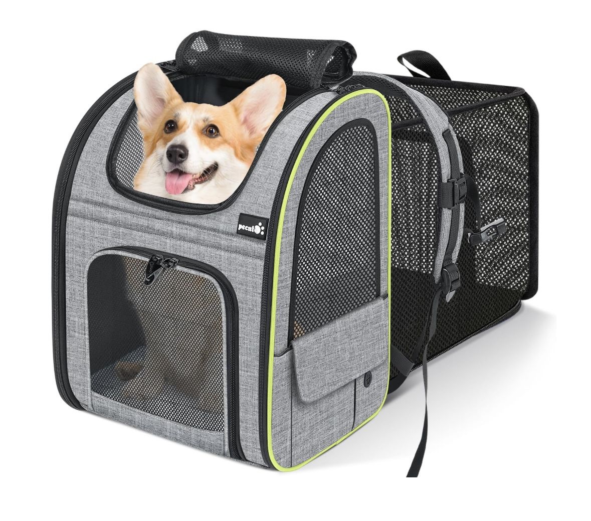 Pet Carrier 