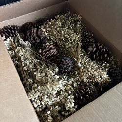 Baby’s Breath and Pinecones