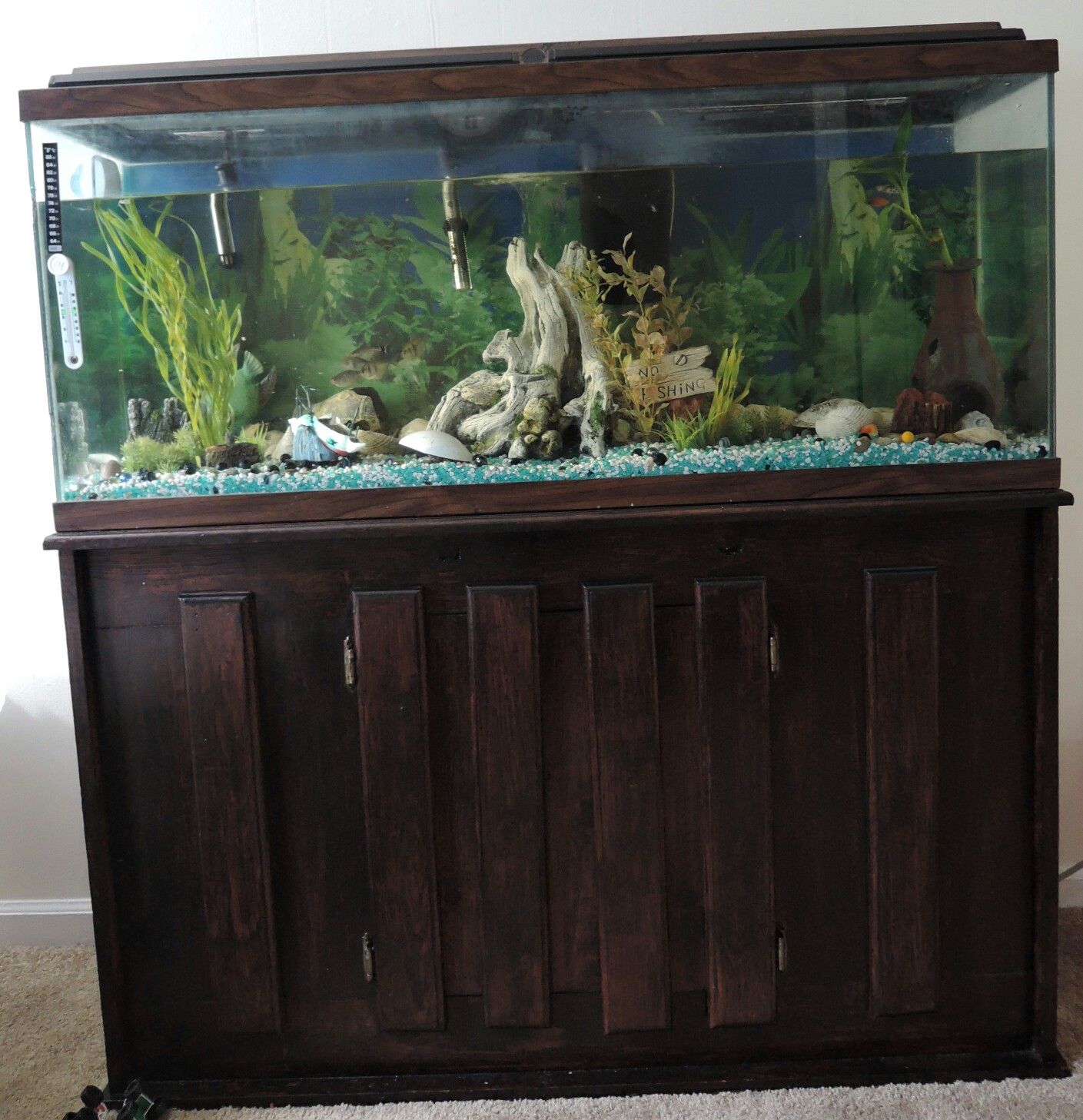 How Much Gravel For 55 Gallon Fish Tank? atelieryuwa.ciao.jp