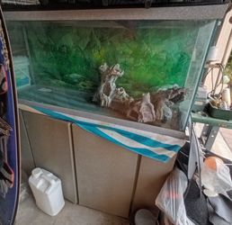 55 gallon aquarium/terrarium with custom stand