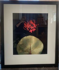 Beautiful  Aluminum frame art .