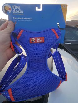Dog Harness