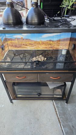Reptile cages and stand