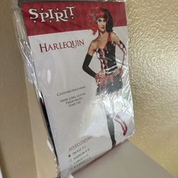 Spirit Costume Harlequin 