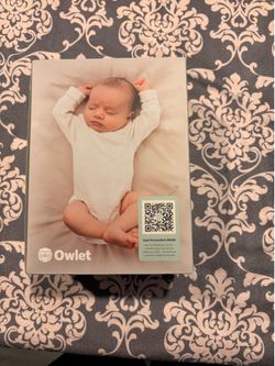 Owlet Dream Sight
