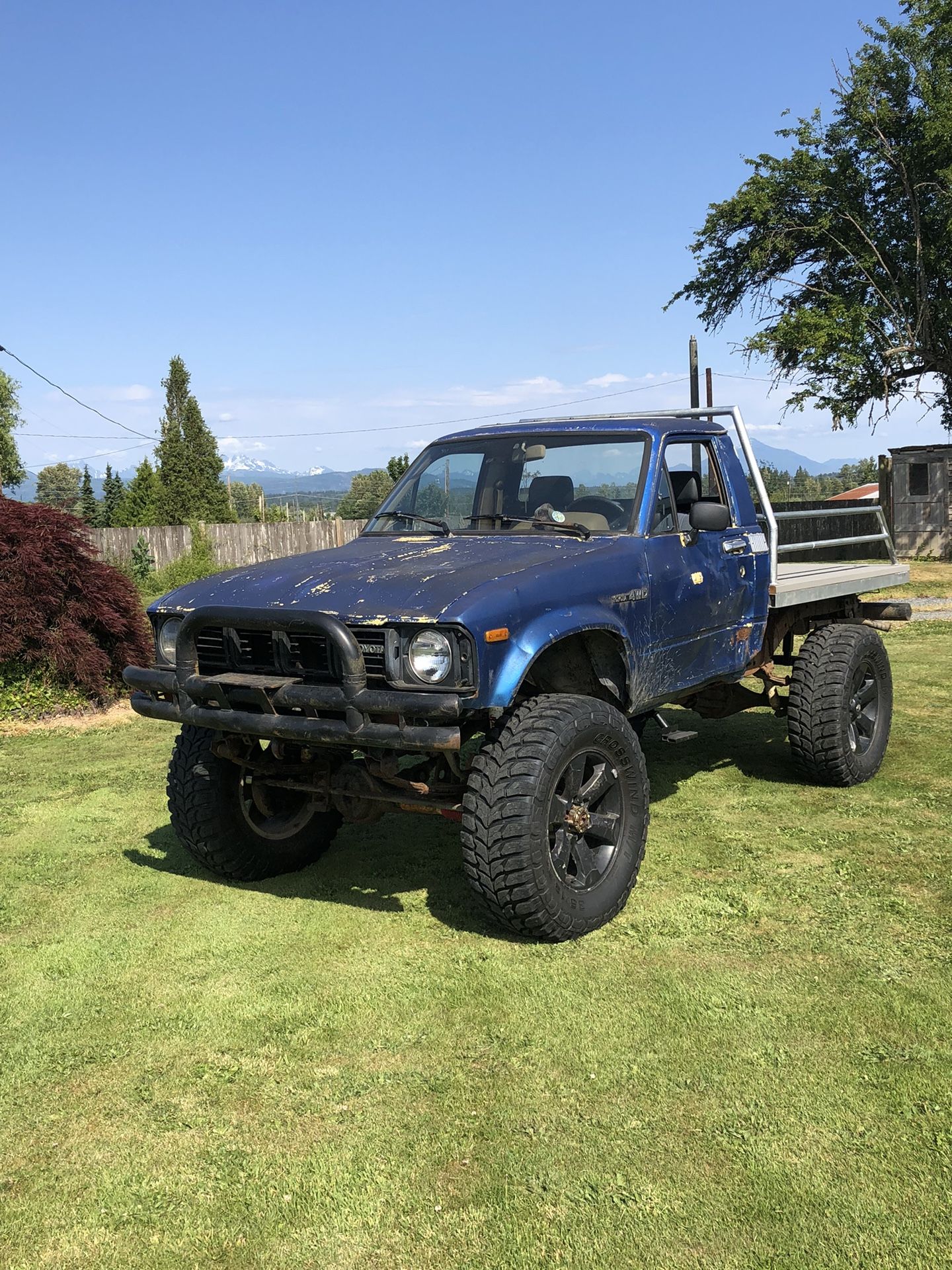 1981 Toyota Pickup
