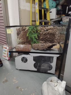 Reptile terrarium with accessories