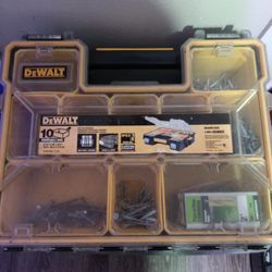DeWalt Organizer Case