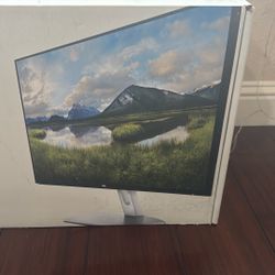 Dell 24 inche Monitor (2 counts)