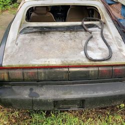 Trans Am Notchback Hatch