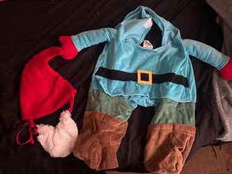 Gnome dog costume