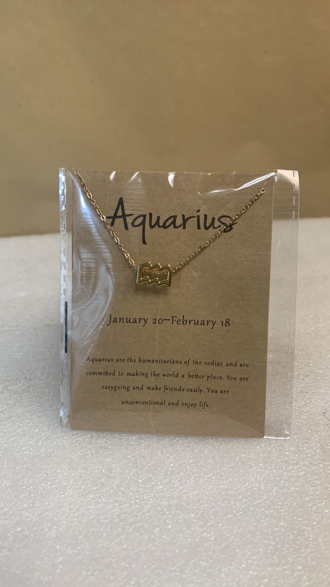 Aquarius Zodiac Sign Choker Style Horoscope Necklace