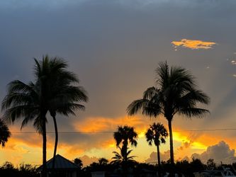 Sunshine Beautiful Peluche