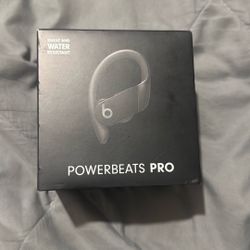 Beats Powerbeats Pro Wireless Earbuds 