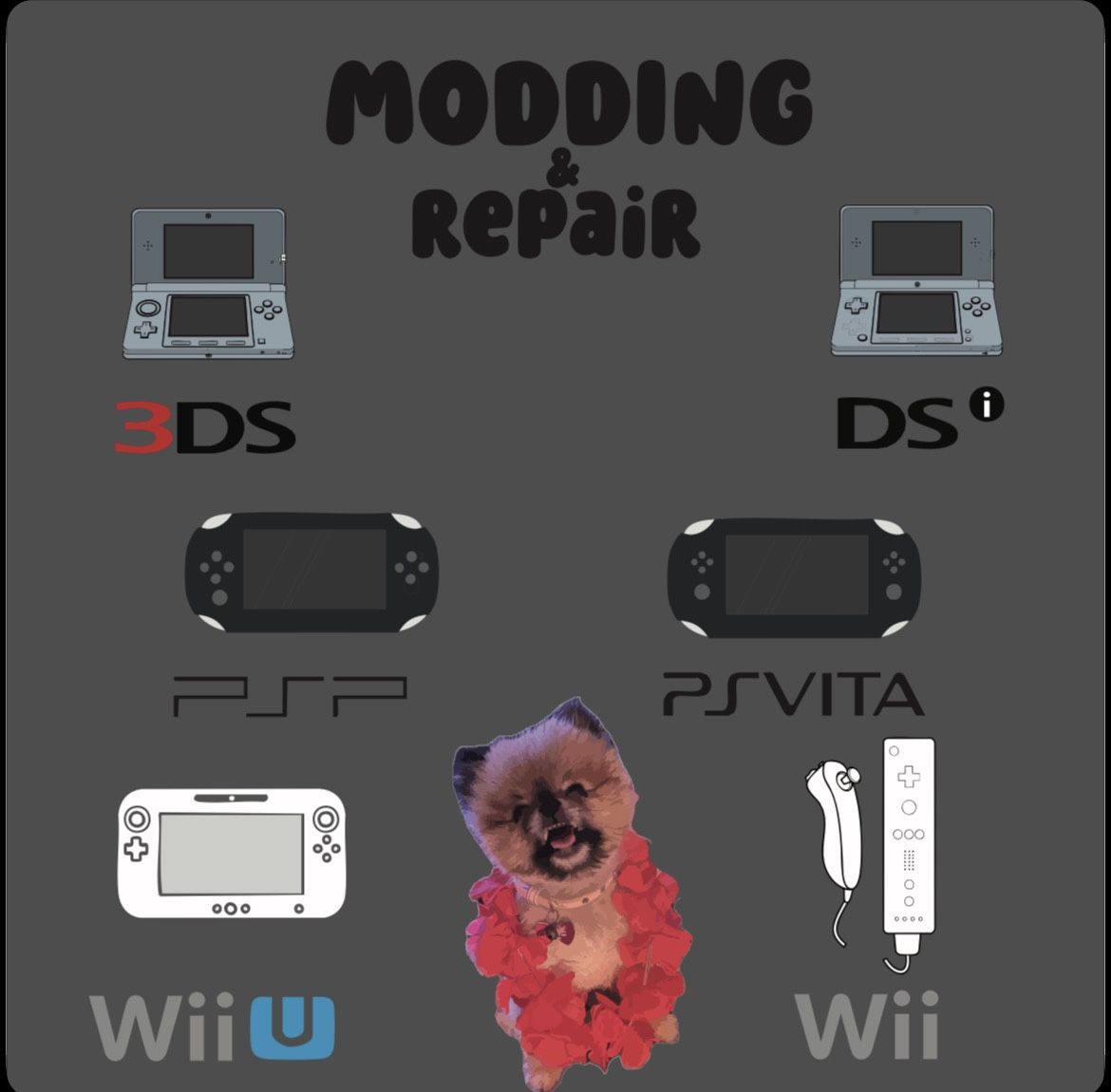 WII/U/3DS/DSI/PSP/V/MOD/REPAIR