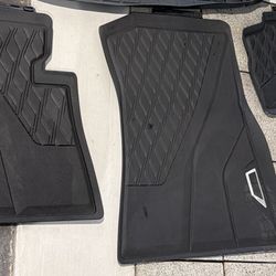 BMW Floor Matts
