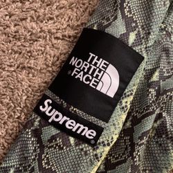 North Face x Supreme Snakeskin Jacket