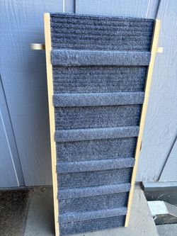 NICE DOG 🐕 RAMP IN WALNUT CREEK