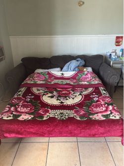 Convertible Sofa Bed / Pull-Out Couch