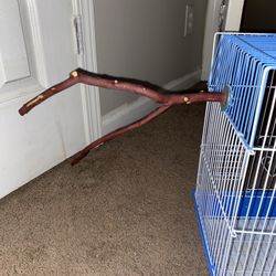 Bird Tree Branch Toy