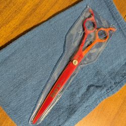 Roy 8" Straights Pet Grooming Shears
