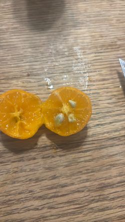 Kalamansi seeds and fresh fruit