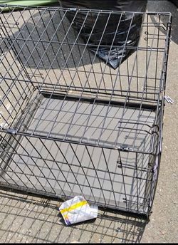 Dog  medium cage
